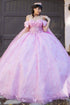 Women's Princess Butterfly Ball Gown – Off-Shoulder Tulle Quinceañera Dress with Beaded Corset and Sheer Sleeve 4/XS-16/3X
