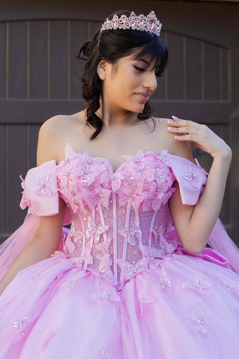 Women's Princess Butterfly Ball Gown – Off-Shoulder Tulle Quinceañera Dress with Beaded Corset and Sheer Sleeve 4/XS-16/3X