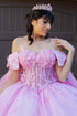 Women's Princess Butterfly Ball Gown – Off-Shoulder Tulle Quinceañera Dress with Beaded Corset and Sheer Sleeve 4/XS-16/3X