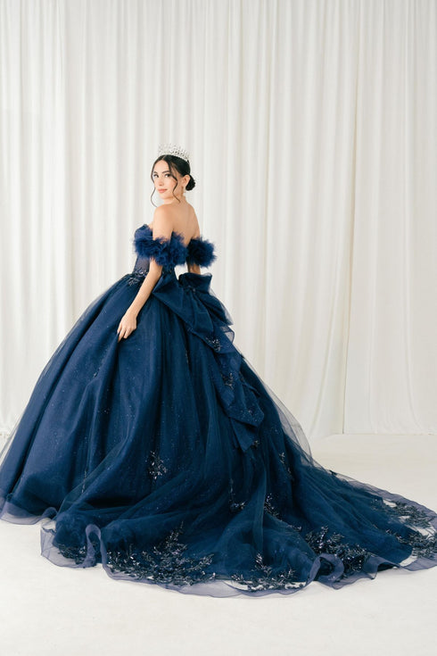 Womens Quinceañera Ball Gown with Beaded Corset, Off-Shoulder Tulle Sleeves & Glitter Skirt 4/XS-16/3X