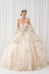 Enchanted Rose Princess Ball Gown – Crystal Embellished Quinceañera Dress 4/XS-16/3X