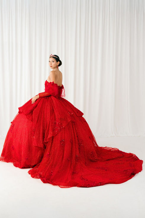 Enchanted Rose Princess Ball Gown – Crystal Embellished Quinceañera Dress 4/XS-16/3X