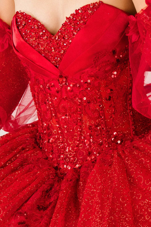 Enchanted Rose Princess Ball Gown – Crystal Embellished Quinceañera Dress 4/XS-16/3X