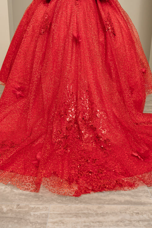 Girls Princess Ball Gown for Girls – Sparkle Flower Appliqué Formal Dress 2-16