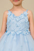 Girls 3D Flower Embedded High Low Tulle Junior Bridesmaid Dress, Sizes 2-12