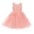 Girls 3D Floral Appliques Soft Tulle Flower Girl Dress, Sizes 2-12