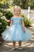 Baby Girls Dusty Rose 3D Floral Lentejuelas Tul Fuera del hombro Vestido de niña de las flores 6-24M