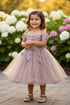 Baby Girls Dusty Rose 3D Floral Lentejuelas Tul Fuera del hombro Vestido de niña de las flores 6-24M