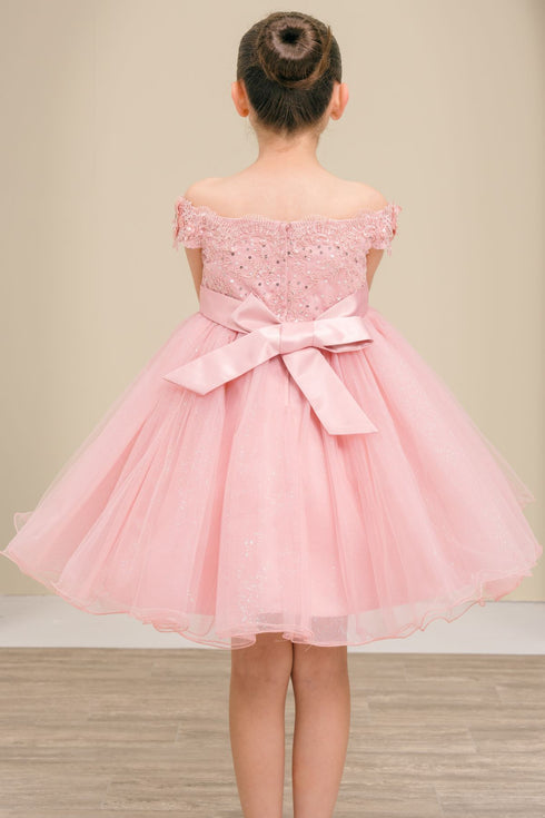 Girls 3D Floral Tulle Off Shoulder Junior Bridesmaid Dress 2-12
