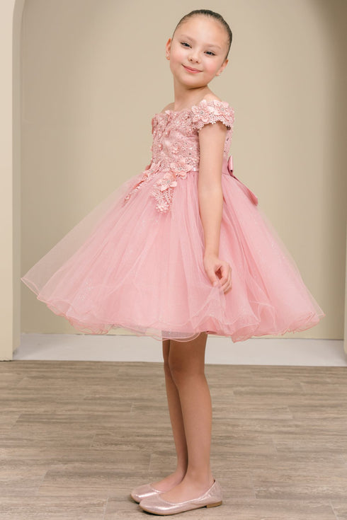 Girls 3D Floral Tulle Off Shoulder Junior Bridesmaid Dress 2-12