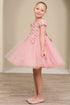 Girls 3D Floral Tulle Off Shoulder Junior Bridesmaid Dress 2-12