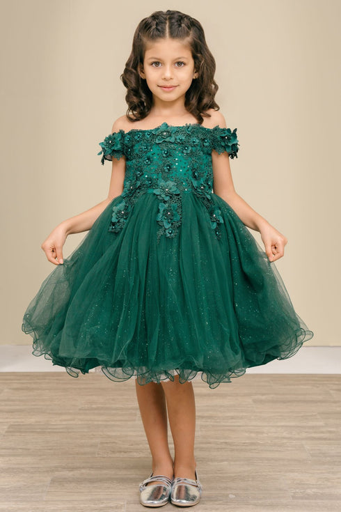 Girls 3D Floral Tulle Off Shoulder Junior Bridesmaid Dress 2-12