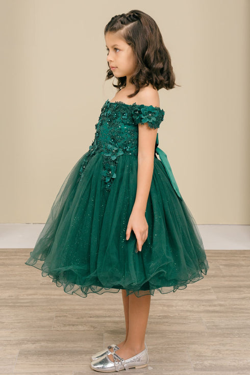 Girls 3D Floral Tulle Off Shoulder Junior Bridesmaid Dress 2-12