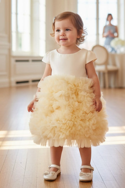Baby Girls Tulle Dress by Cinderella Couture – Elegant Ruffle Skirt Flower Girl Dress 6-24Months