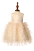 Baby Girls Tulle Dress by Cinderella Couture – Satin Bodice Ruffle Tulle Party Dress 3-24Months