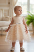 Baby Girls Tulle Dress by Cinderella Couture – Satin Bodice Ruffle Tulle Party Dress 3-24Months
