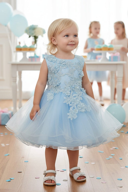 Baby Girls 3D Floral Lace Flower Girl Dress, Sizes 6-24M