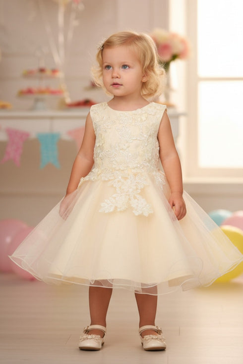 Baby Girls Lace Tulle Dress by Cinderella Couture – 3D Floral Bodice Princess Party Dress 6-24M