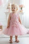 Baby Girls Lace Tulle Dress by Cinderella Couture – 3D Floral Bodice Princess Party Dress 6-24M