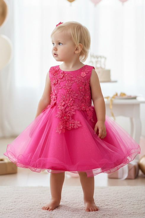 Baby Girls Lace Tulle Dress by Cinderella Couture – 3D Floral Bodice Princess Party Dress 6-24M