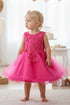 Baby Girls Lace Tulle Dress by Cinderella Couture – 3D Floral Bodice Princess Party Dress 6-24M