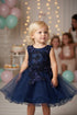 Baby Girls Lace Tulle Dress by Cinderella Couture – 3D Floral Bodice Princess Party Dress 6-24M