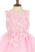 Baby Girls Lace Tulle Dress by Cinderella Couture – 3D Floral Bodice Princess Party Dress 6-24M