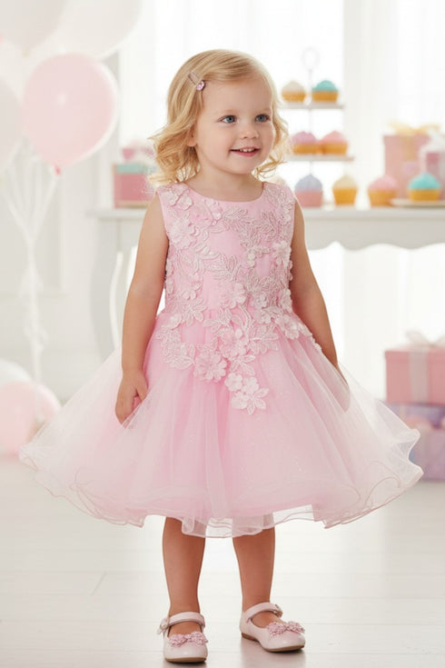 Baby Girls Lace Tulle Dress by Cinderella Couture – 3D Floral Bodice Princess Party Dress 6-24M