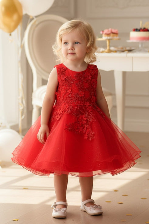 Baby Girls Lace Tulle Dress by Cinderella Couture – 3D Floral Bodice Princess Party Dress 6-24M