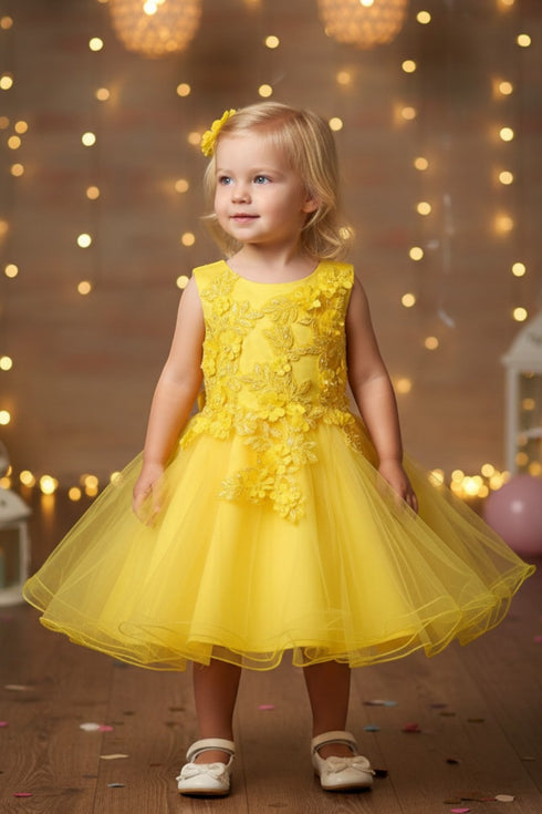 Baby Girls Lace Tulle Dress by Cinderella Couture – 3D Floral Bodice Princess Party Dress 6-24M