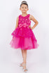 Girls Multi Color Lala & Erina Sequin Ribbon Adorned Flower Girl Dress 2-12