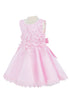 Baby Girls 3D Floral Top Soft Tulle Flower Girl Dress 3-24M - SophiasStyle.com