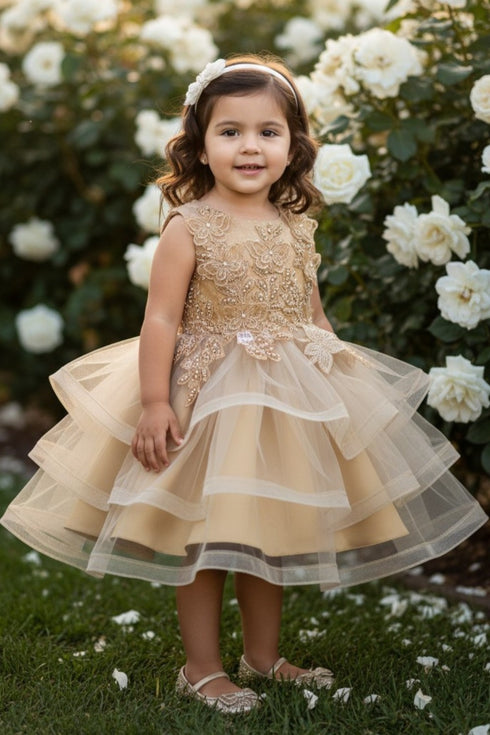 Baby Girls Butterfly Sequin Tulle Layered Skirt Flower Girl Dress 3-24M