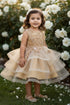 Baby Girls Butterfly Sequin Tulle Layered Skirt Flower Girl Dress 3-24M