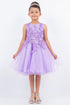 Girls Butterfly Lace Glitter Tulle Flower Girl Dress 2-12