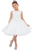 Girls Butterfly Lace Glitter Tulle Flower Girl Dress 2-12
