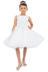 Girls Butterfly Lace Glitter Tulle Flower Girl Dress 2-12