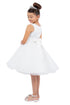 Girls Butterfly Lace Glitter Tulle Flower Girl Dress 2-12