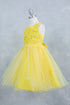 Girls Butterfly Lace Glitter Tulle Flower Girl Dress 2-12