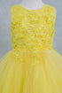 Girls Butterfly Lace Glitter Tulle Flower Girl Dress 2-12