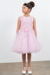 Girls Butterfly Lace Glitter Tulle Flower Girl Dress 2-12