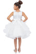Girls Sparkling Sequin Lace Top Over Laid Tulle Skirt Flower Girl Dress 2-12