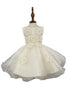 Baby Girls Daisy Sequin Pearl Tulle Flower Girl Dress 3-24M