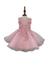 Pink Baby Girls Butterfly Pearl Sequin Tulle Flower Girl Dress, Sizes 3-18M