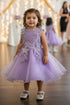 Baby Girls Butterfly Pearl Sequin Tulle Flower Girl Dress 3-24M