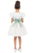 Girls Puff Sleeve Jewel Neck Organza Sash Flower Girl Dress 2-12