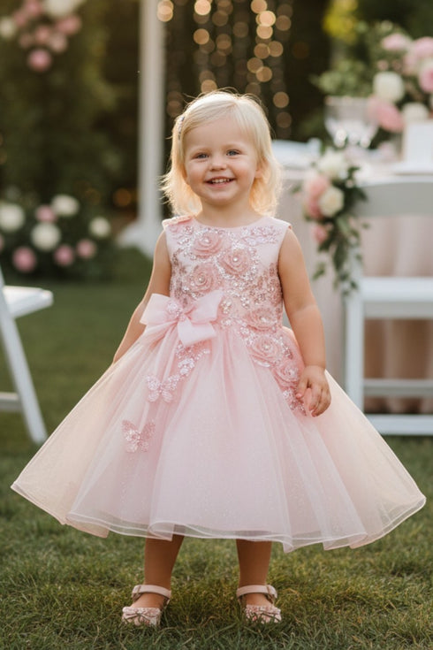 Baby Girls 3D Ribbon Flower Crystal Tulle Flower Girl Dress 3-24M