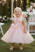 Baby Girls 3D Ribbon Flower Crystal Tulle Flower Girl Dress 3-24M