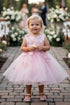 Baby Girls 3D Ribbon Flower Crystal Tulle Flower Girl Dress 3-24M