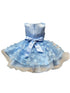 Baby Girls 3D Floral Applique Voluminous Skirt Flower Girl Dress 6-24M
